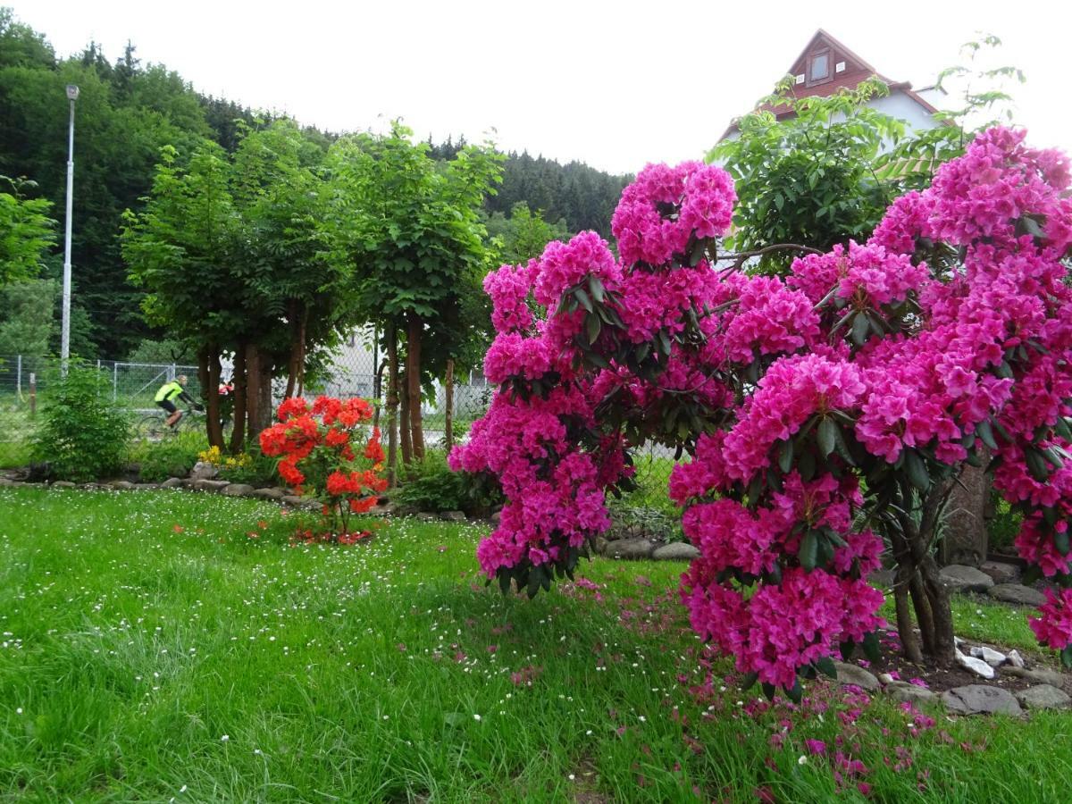 Apartmany Sophia Trutnov Luaran gambar